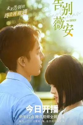 《告别薇安》：一段关于救赎与放下的旅程，寒山令下，何去何从？