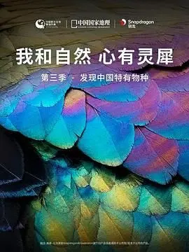 《我和自然 心有灵犀》第三季：镜头下的中国特有物种，它们的故事你听说了吗？